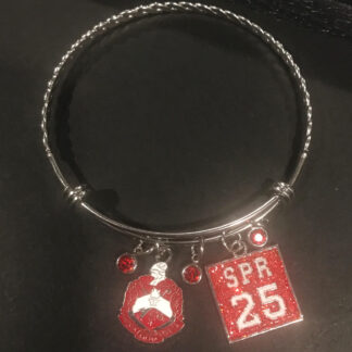 Delta New Initiate Alex & Ani bracelet