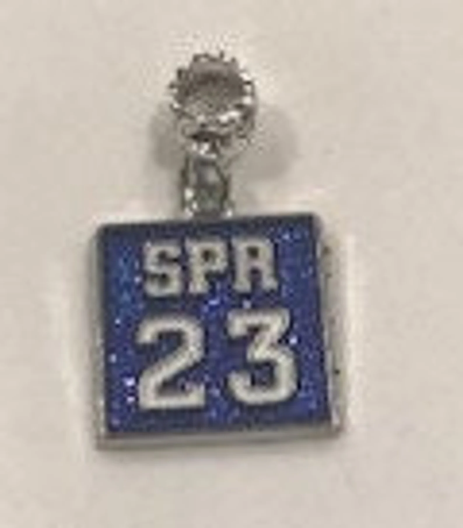 Blue and White Initiate/Pledge Term Year Charm (1963-2025)