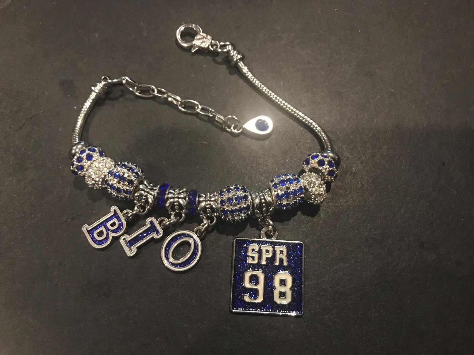 8" Blue & White chapter initiate charm bracelet.